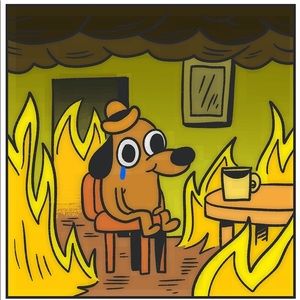 Meet your Posher, Ariana